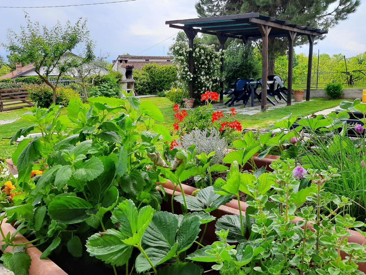 Cascina Teresina Monferrato Piscina Villa Cortazzone Buitenkant foto