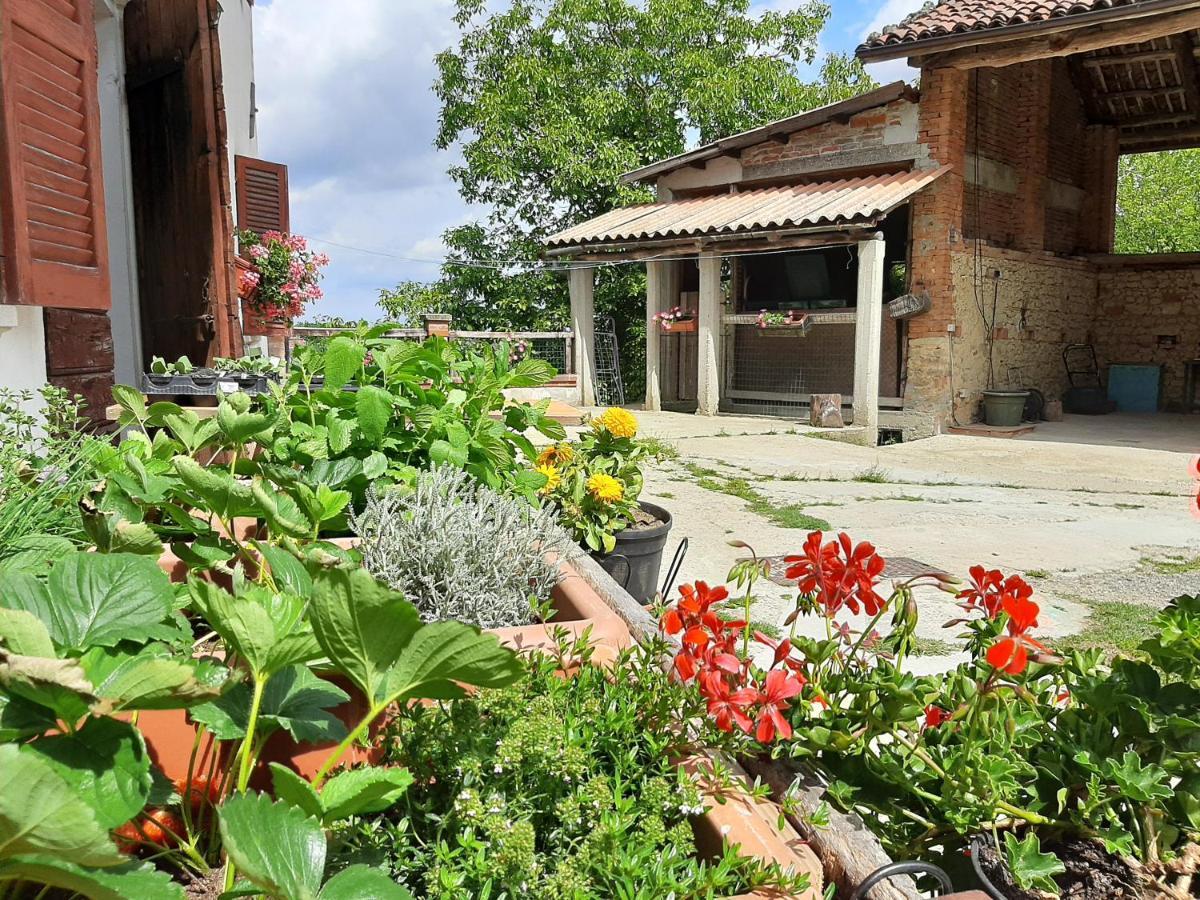 Cascina Teresina Monferrato Piscina Villa Cortazzone Buitenkant foto