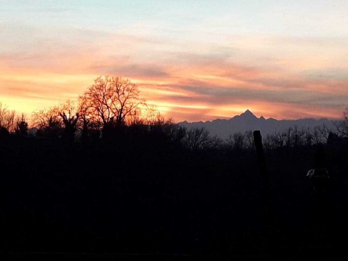 Cascina Teresina Monferrato Piscina Villa Cortazzone Buitenkant foto